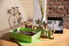 HAN SMART-ORGANIZER ALLISON – praktische Utensilienbox mit Innenschale und Deckel, granite grey, 1110-19