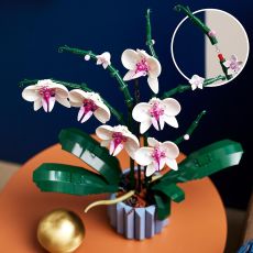 LEGO® Icons 10311 Orchidee