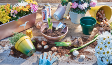 edding 5200 Permanentspray Premium Acryllack gelbgrün matt RAL 6018