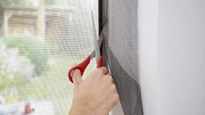tesa Insect Stop STANDARD Fliegengitter für Fenster im 3er Pack - Insektenschutz zuschneidbar - Mückenschutz ohne Bohren - 3 x Fliegen Netz anthrazit - 130 cm x 150 cm