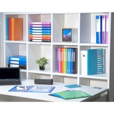 Exacompta 51299E 20er Pack Premium Kunststoff-Ringbuch OPAK aus Kunststoff 4-O Ringe Füllhöhe 15 mm DIN A4 Plastikordner ideal für Büro und Schule farbig sortiert
