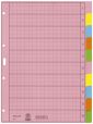 Leitz 4340 Register - blanko, Papier, A4, 10 Blatt, Taben 2x 5-farbig