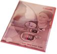 Leitz 4100 Sichthülle Premium, A4, PVC, dokumentenecht, rot 100 Stück